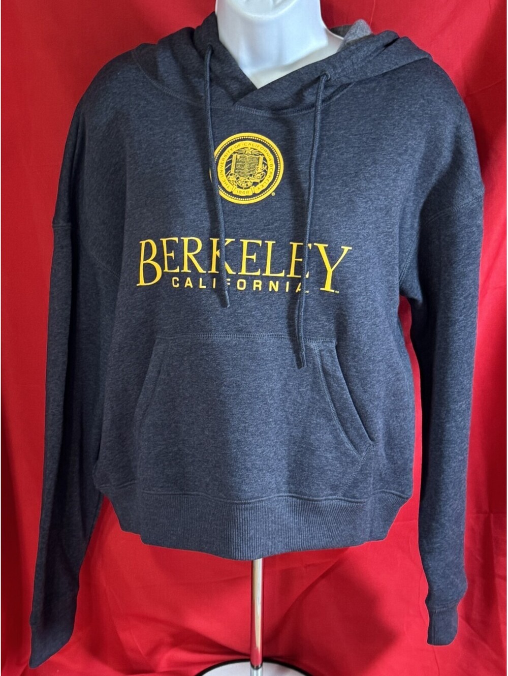 University of California At Berkeley Blue Hoodie Champion Mens Small NWT